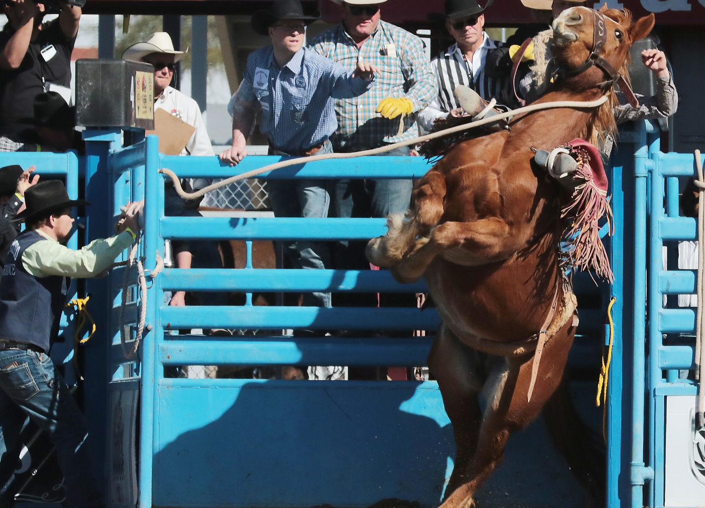2018 La Fiesta de los Vaqueros Tucson Rodeo